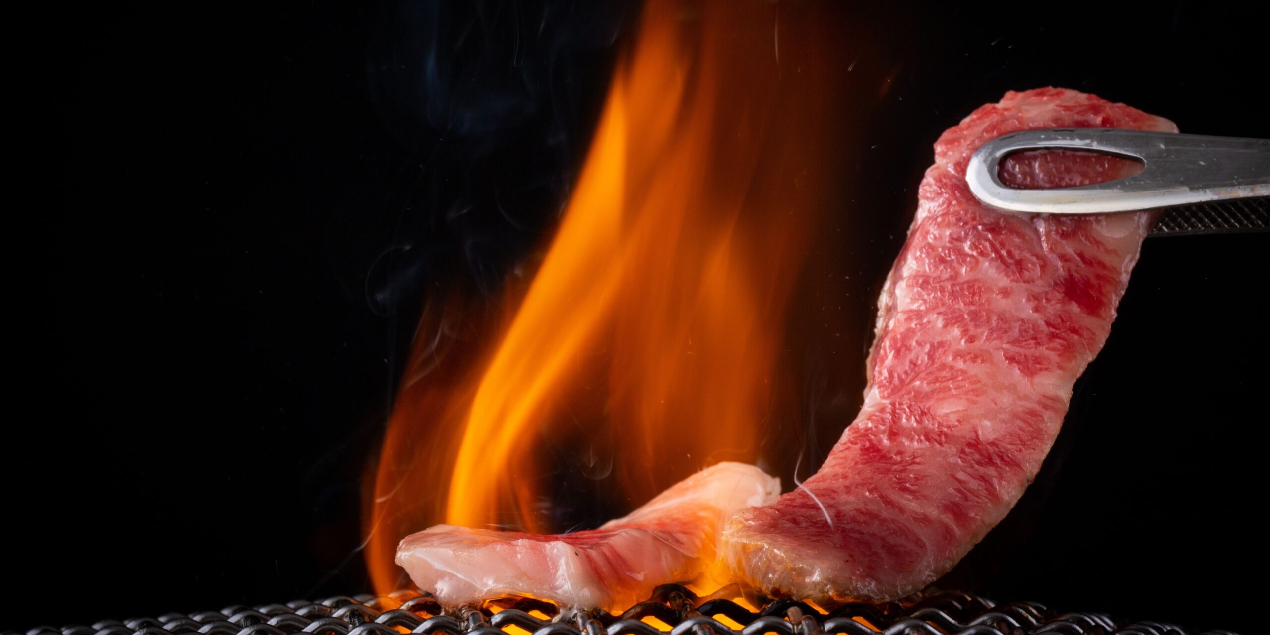 Angus vs Wagyu